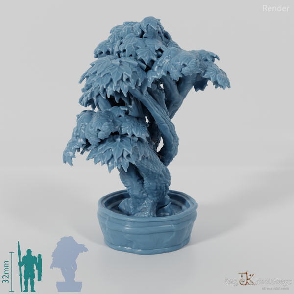 Baum - Zierbaum in Kübel 02