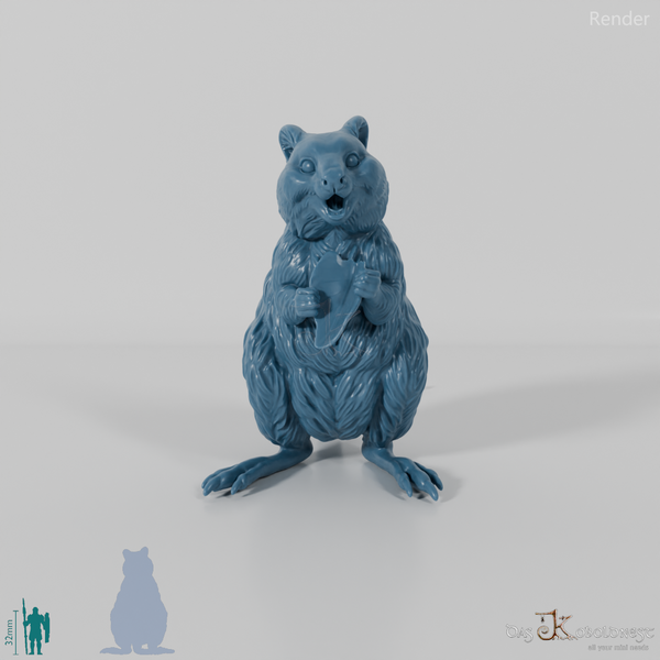 Känguru - Quokka 01