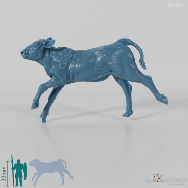 Rind - North Devon Kalb 02