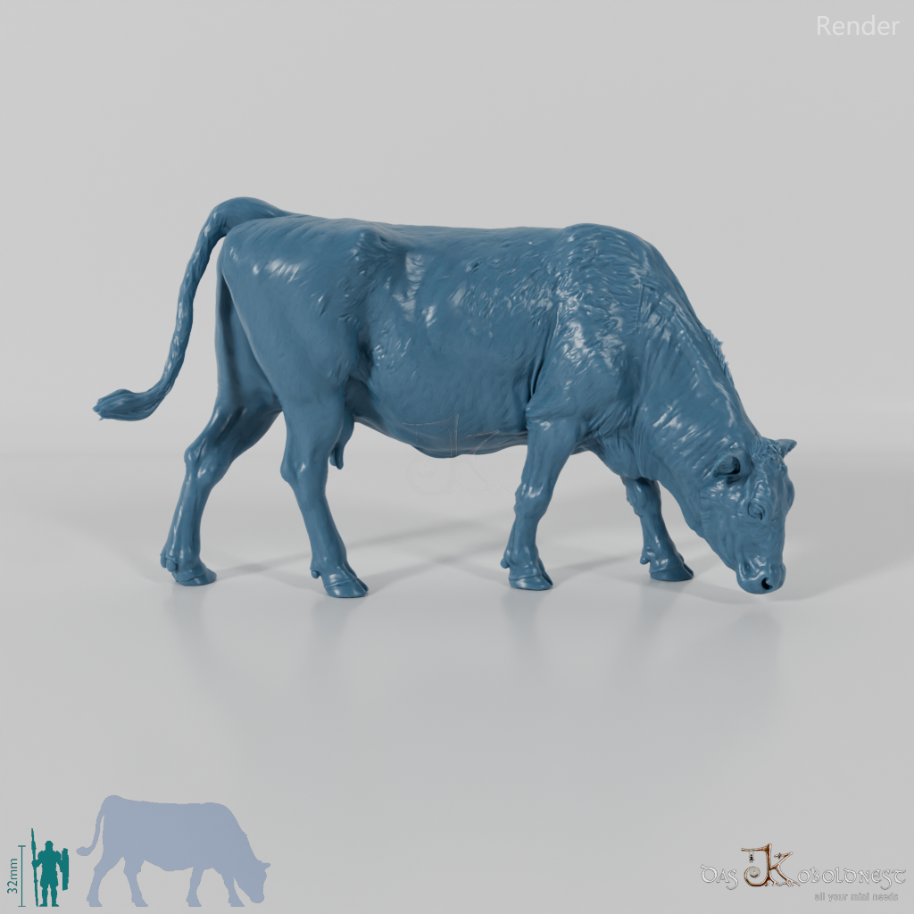 Rind - North Devon Kuh 01