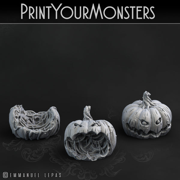 Schubkarre - Kürbiskarren