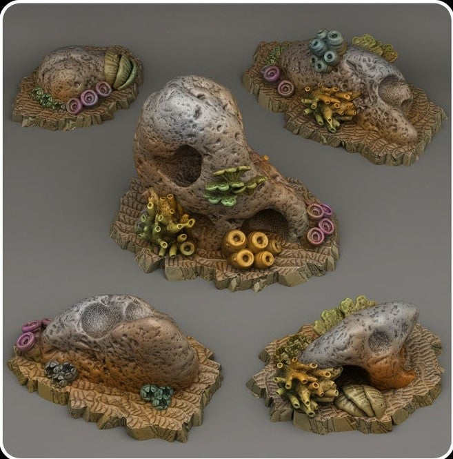 Bewachsene Meeressteine