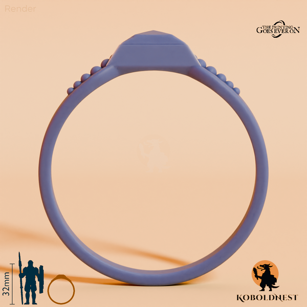 ring-of-elemental-control-water-B_render_80pitch_180deg.png