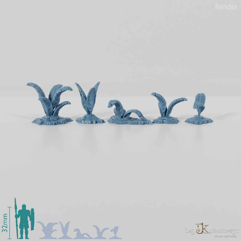 Tropische Riesenfarne