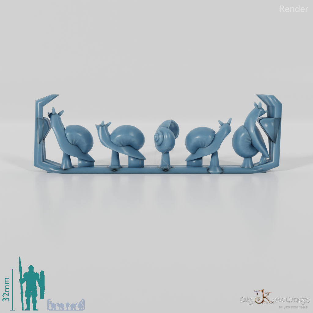 Schnecke - Schnecken 1