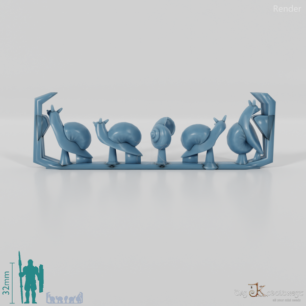 Schnecke - Schnecken 1