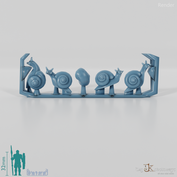 Schnecke - Schnecken 1