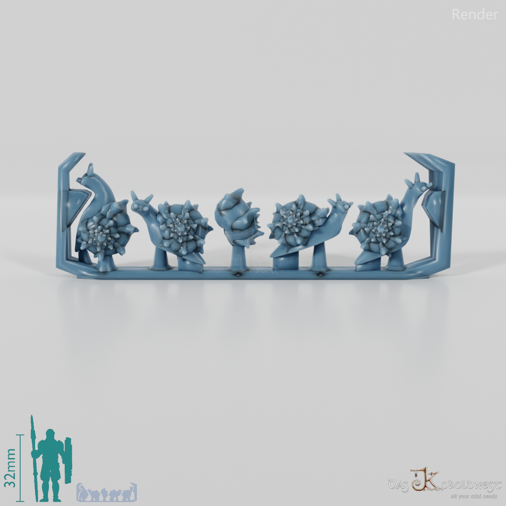 Schnecke - Schnecken 3