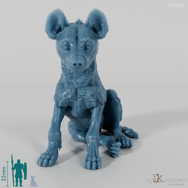 Hyäne - Tüpfelhyänenjungtier 01