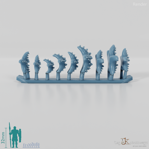 Seestern - Seesterne 1