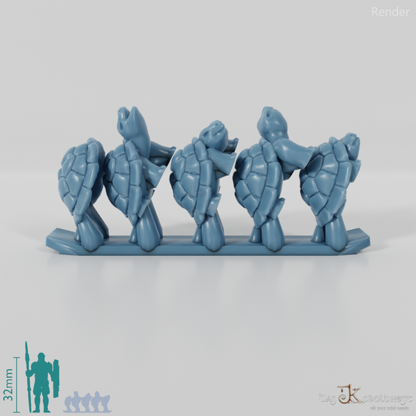 Schildkröte - Schildkröten 1