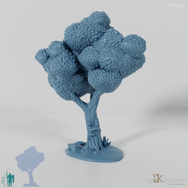 Furchiger Laubbaum 1