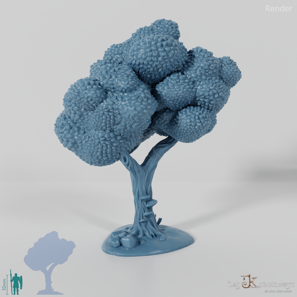 Furchiger Laubbaum 1