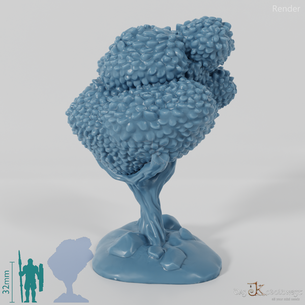 Furchiger Laubbaum 3