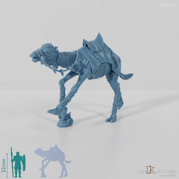 Reitkamel der Stammeskrieger B