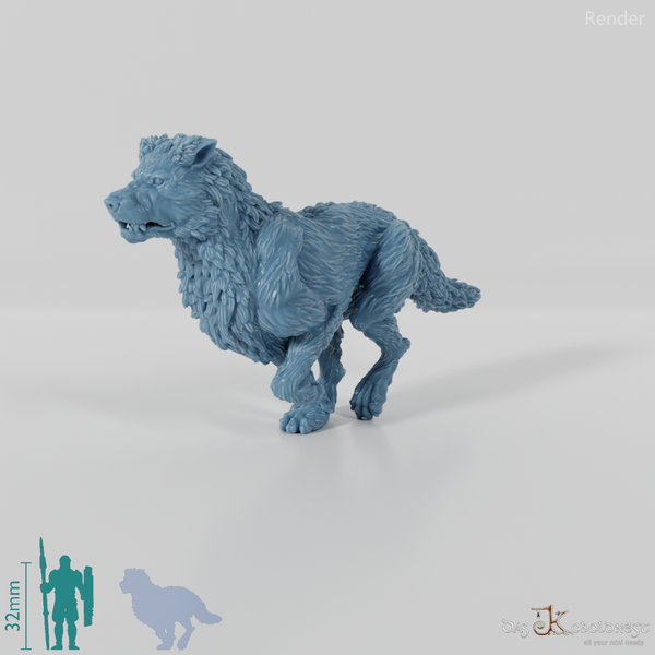 Reitwolf C