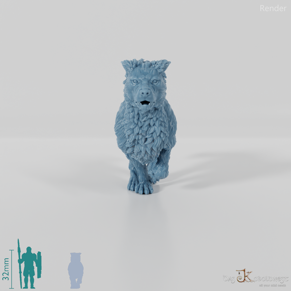 Reitwolf C